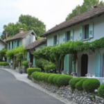 Senior Living Options That Prioritize Comfort and Independence